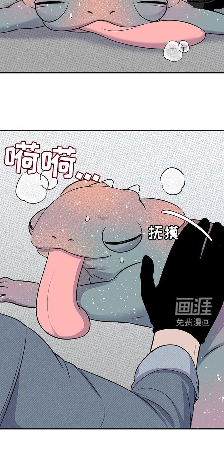 第35章：我不会杀他