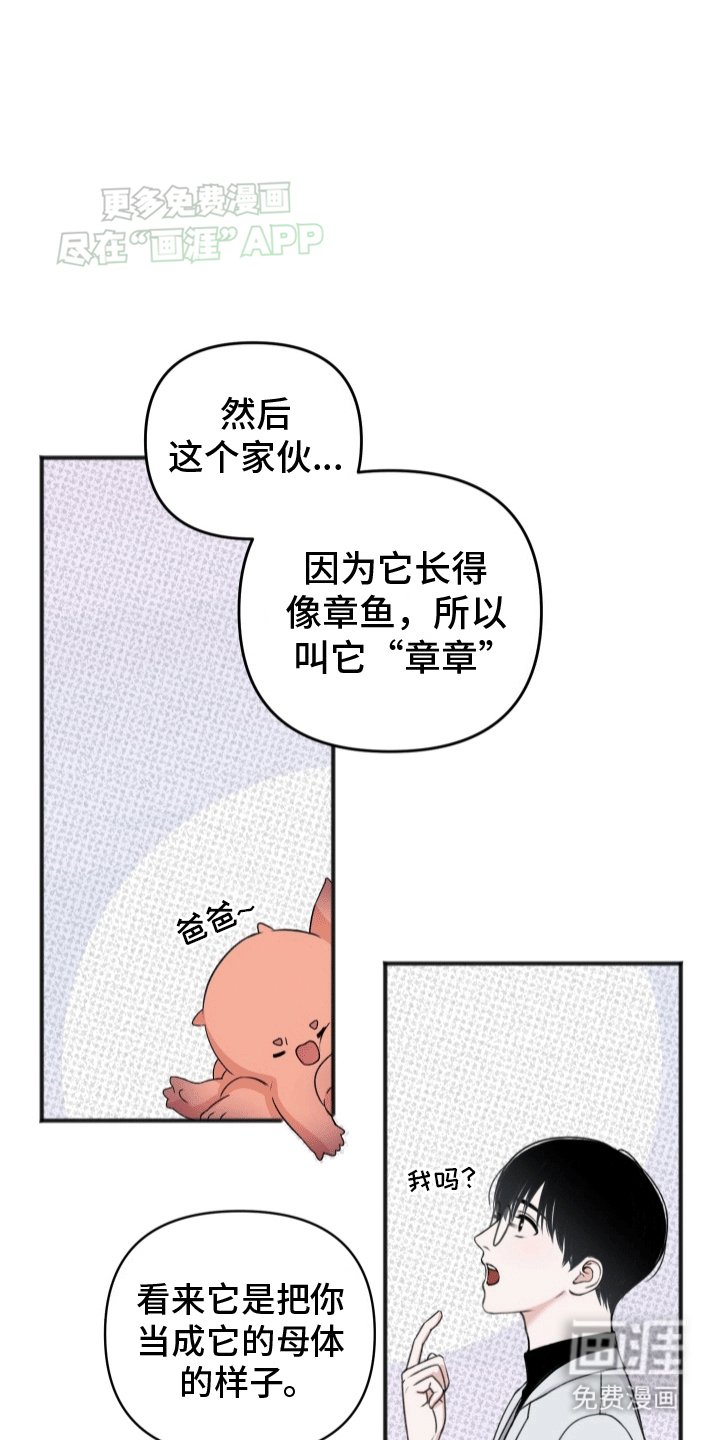第5章：助手