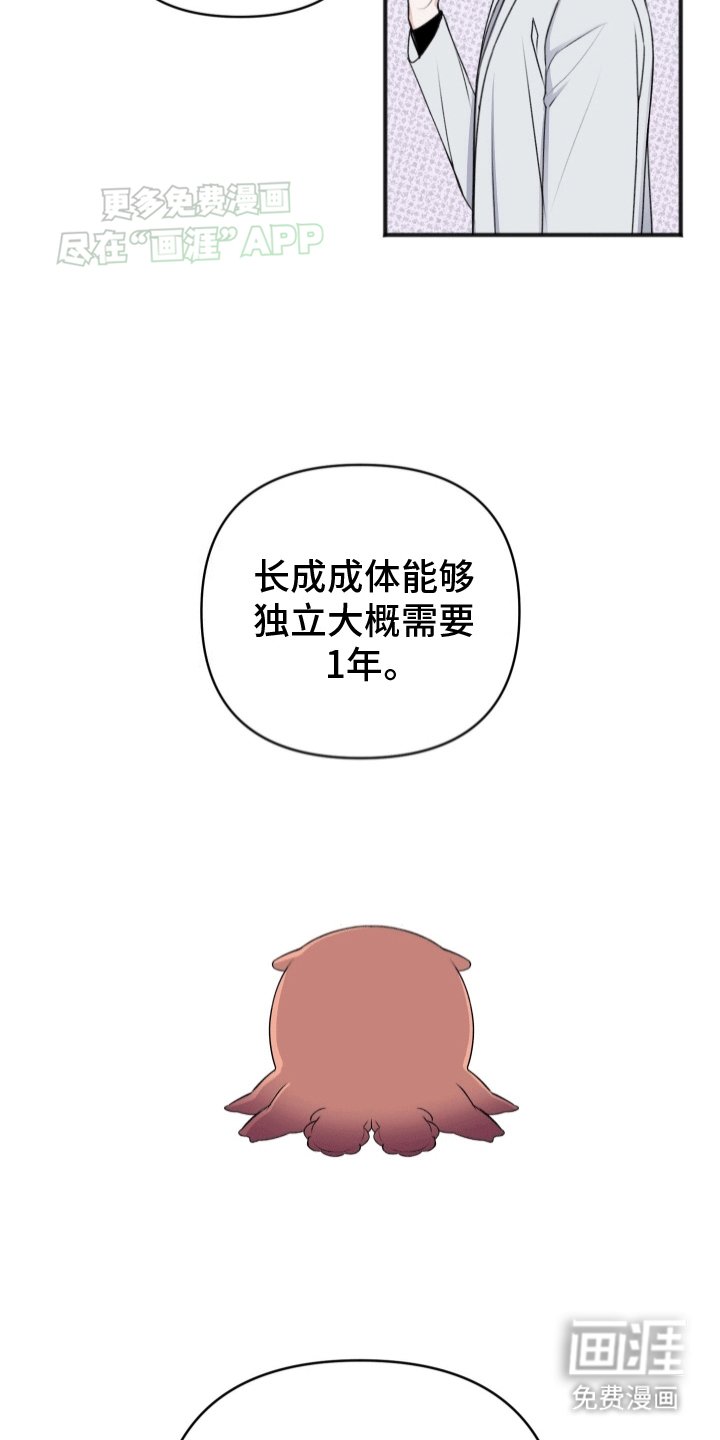 第5章：助手