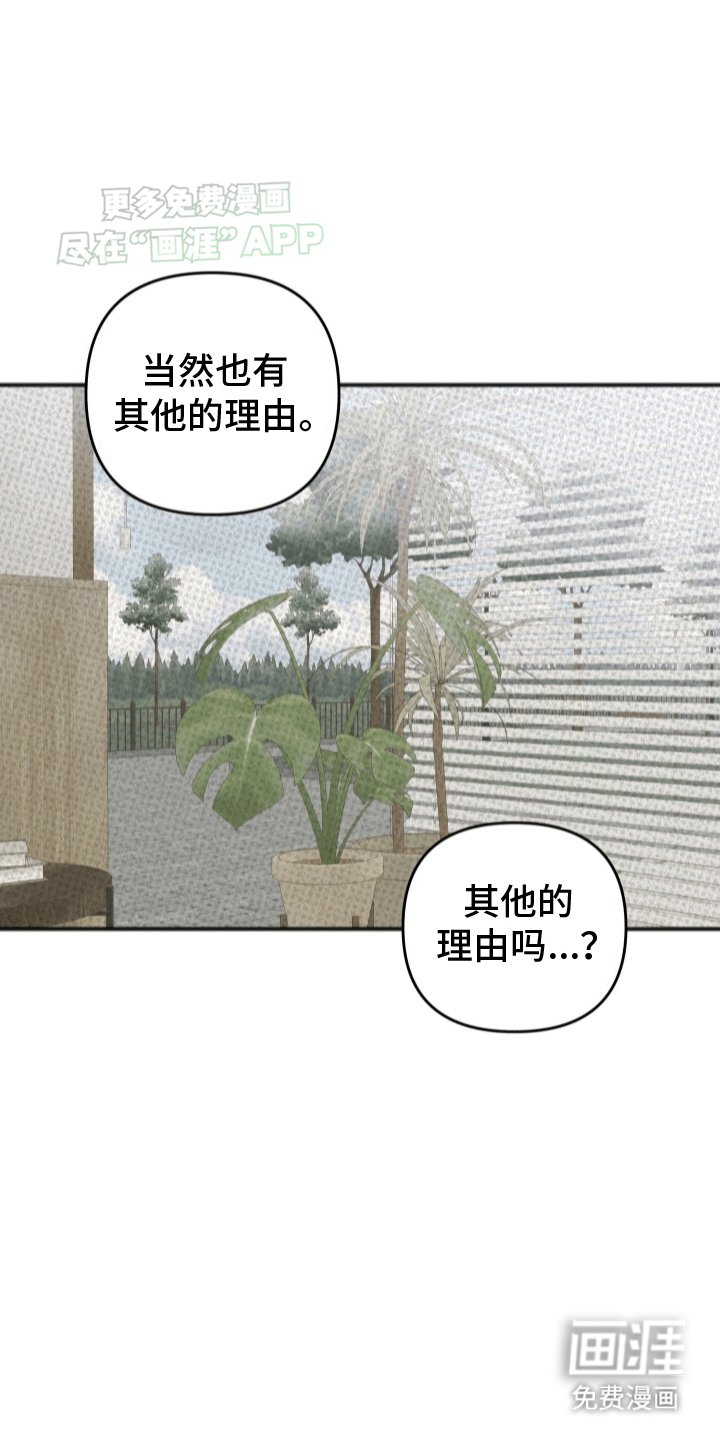 第5章：助手