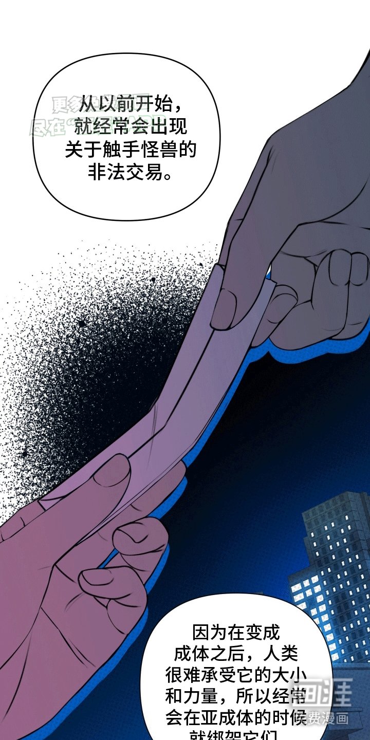 第5章：助手