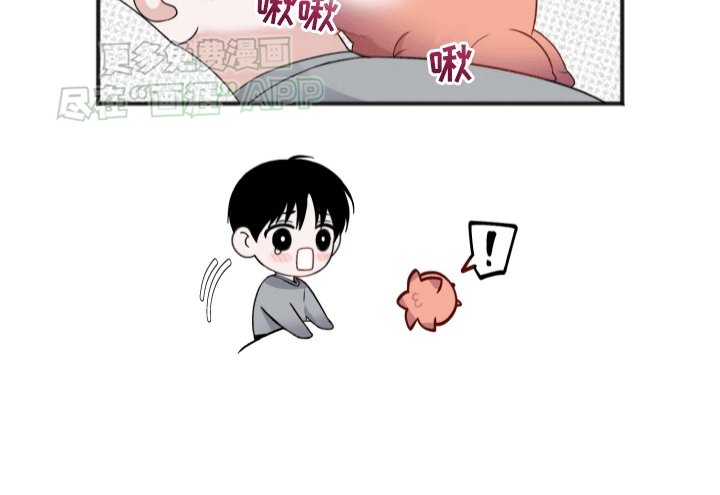 第5章：助手