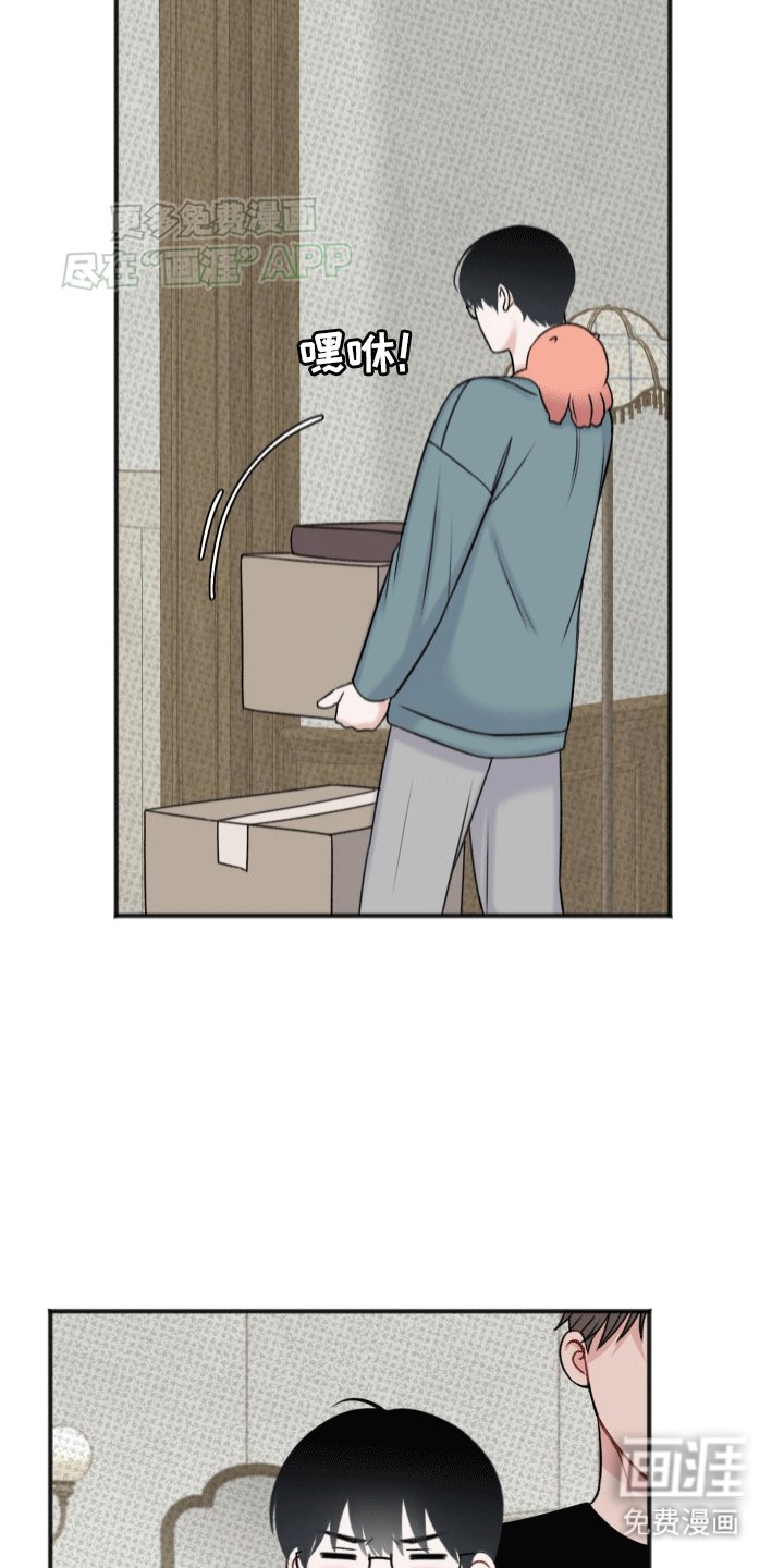 第6章：同居生活