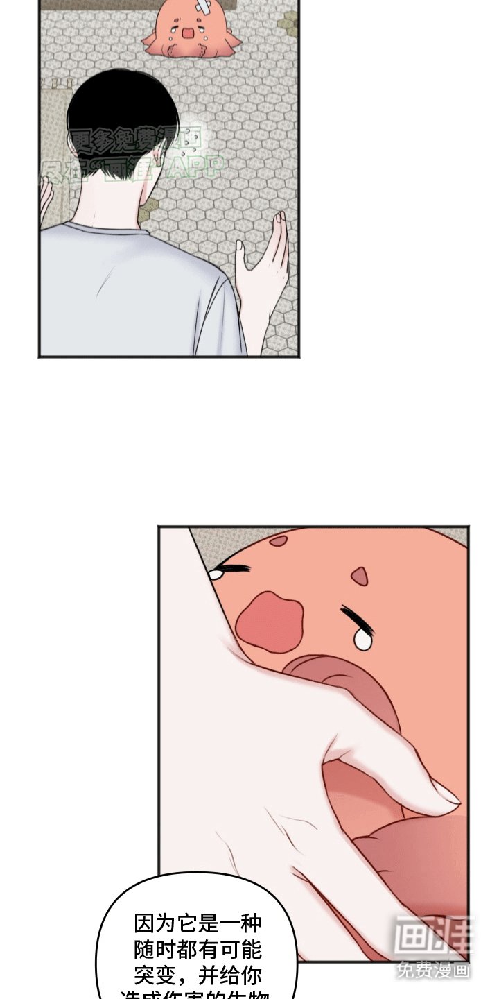 第7章：坏主意