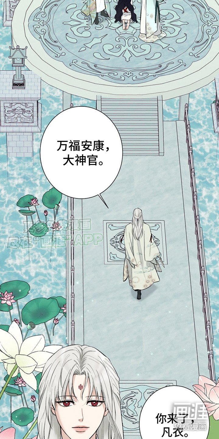 第1章：大神官
