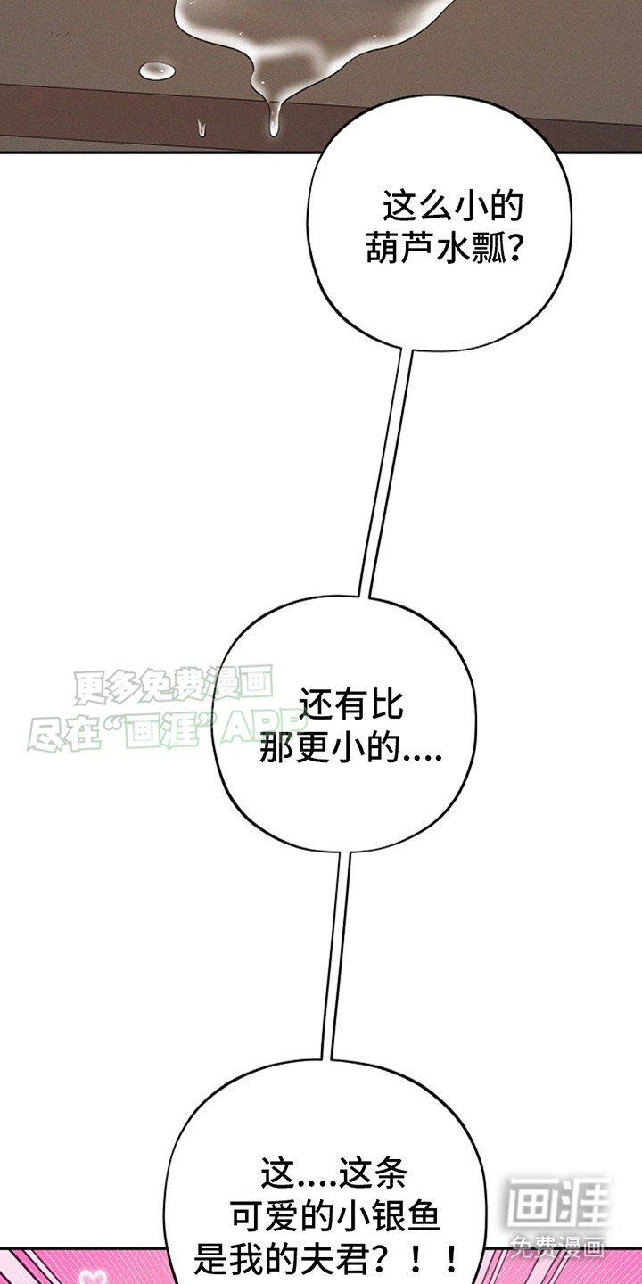 第6章：小银鱼