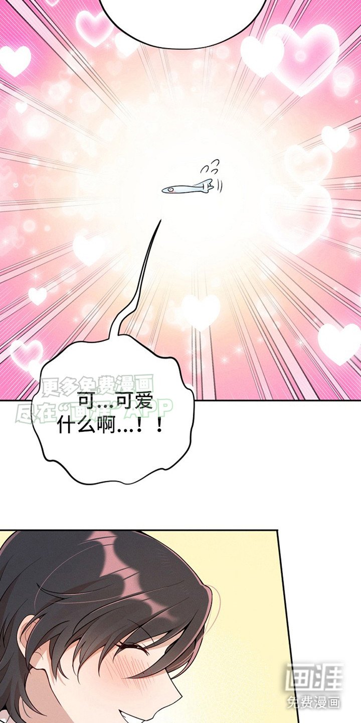第6章：小银鱼