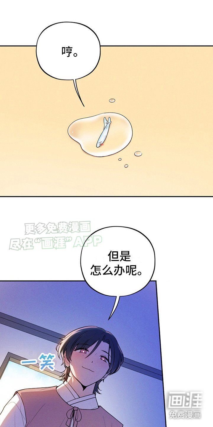 第6章：小银鱼