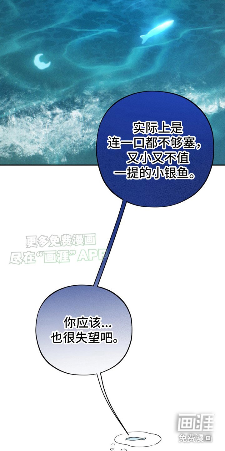 第6章：小银鱼