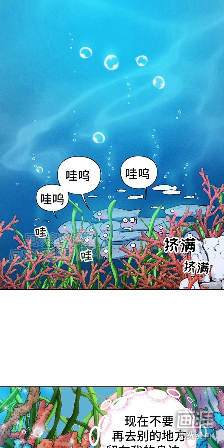 第8章：下海
