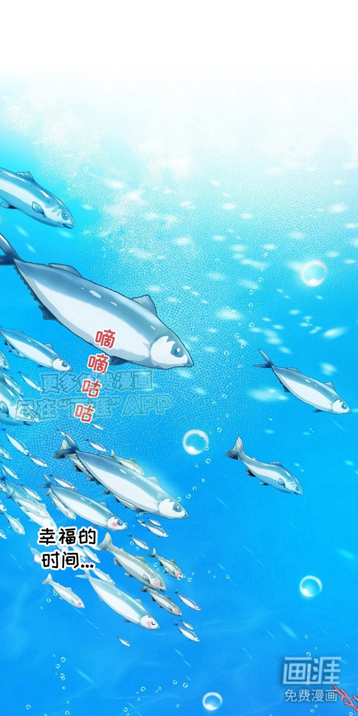 第9章：图册