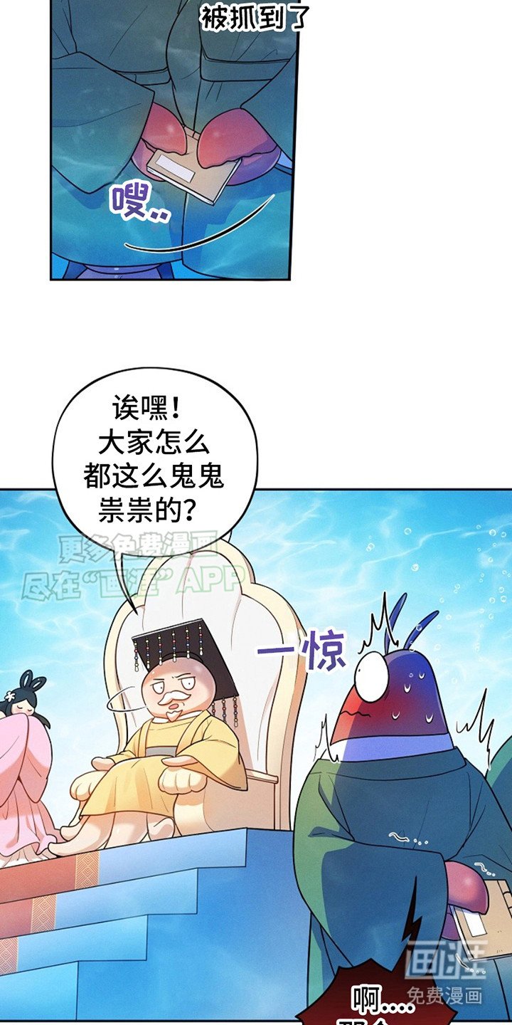 第9章：图册