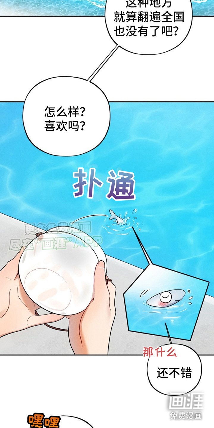 第9章：图册