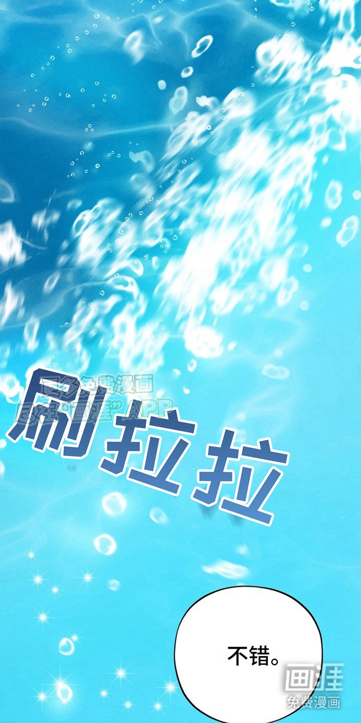 第9章：图册