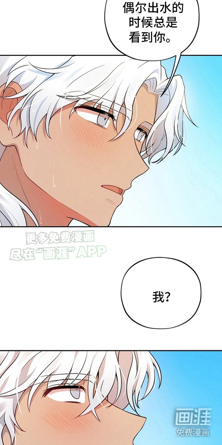 第9章：图册