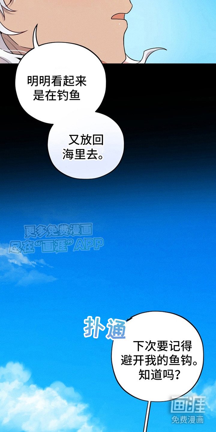 第9章：图册