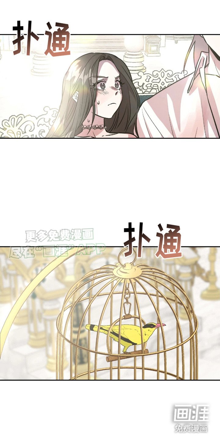 第11章：语出惊人