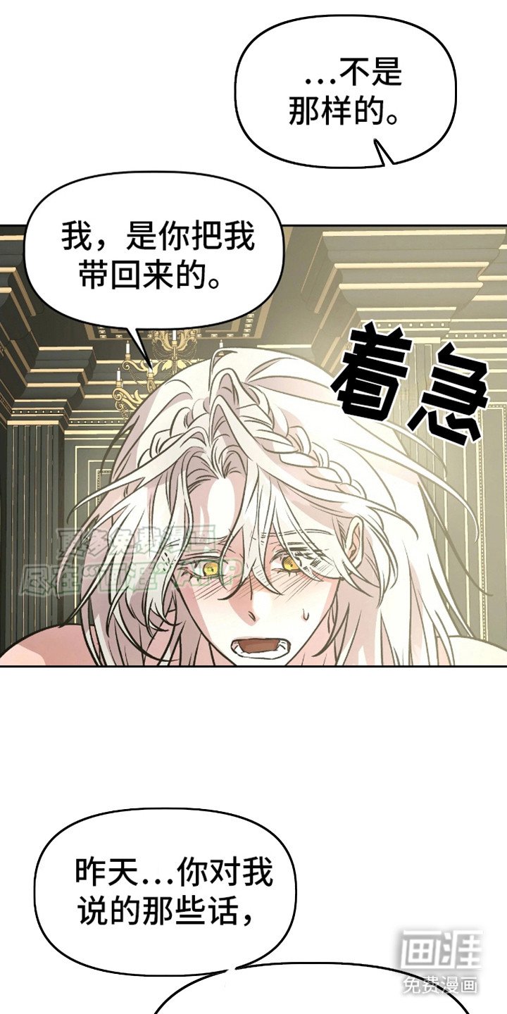 第13章：表白