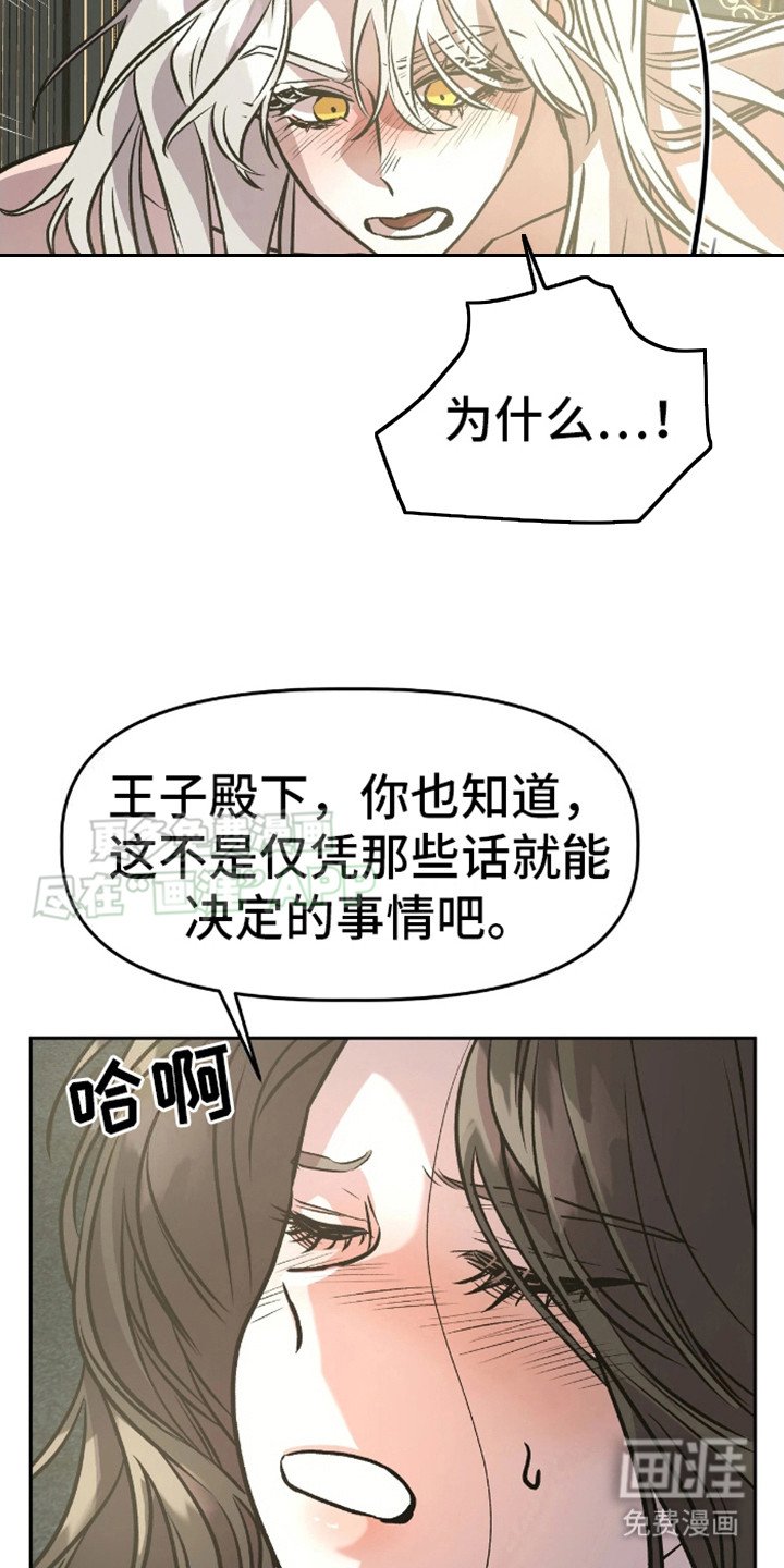 第13章：表白