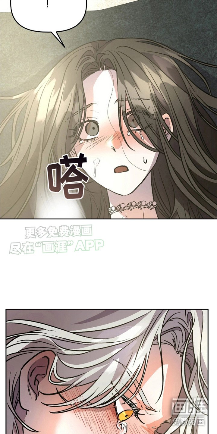 第13章：表白