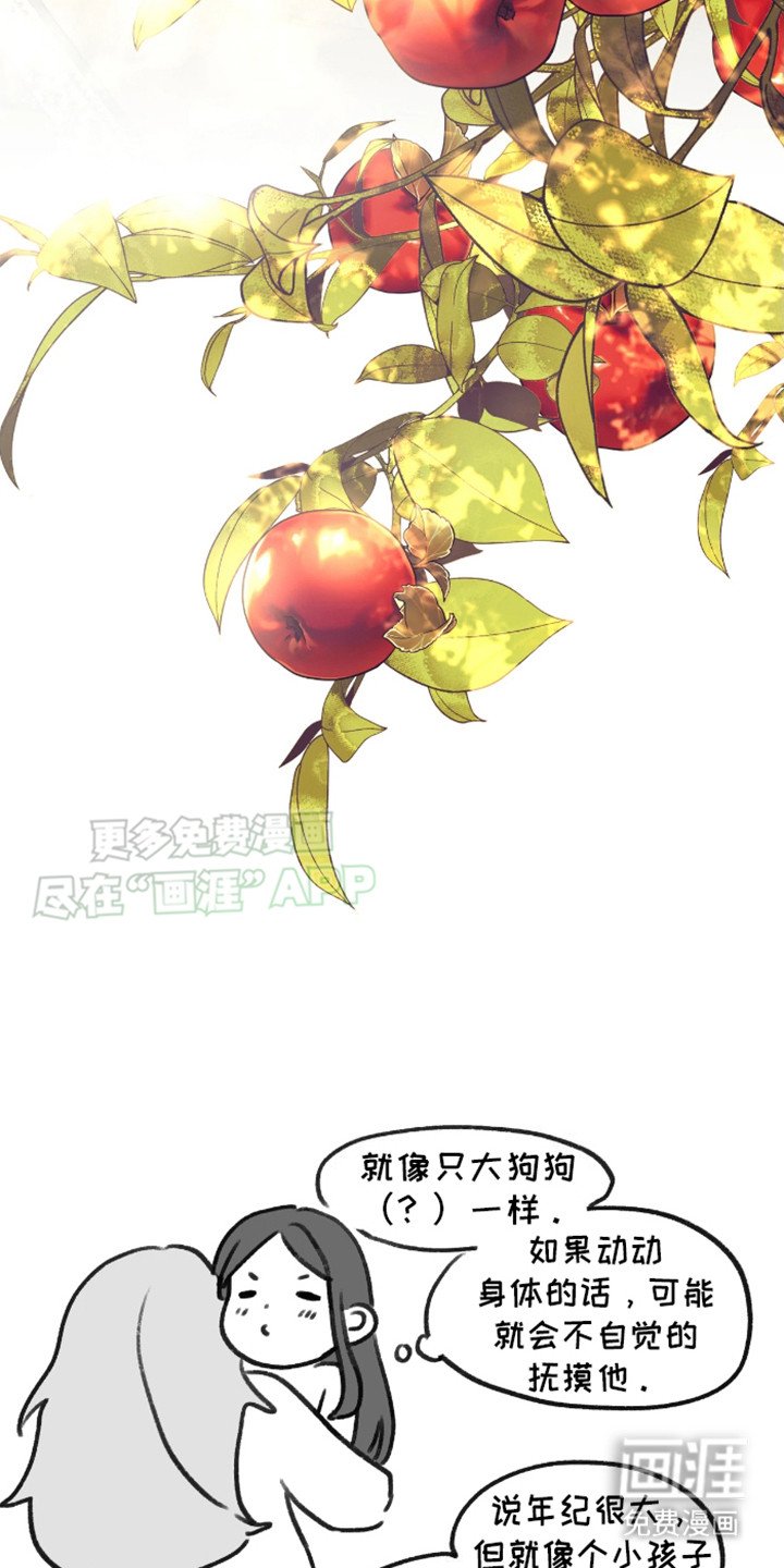 第14章：慢慢考虑