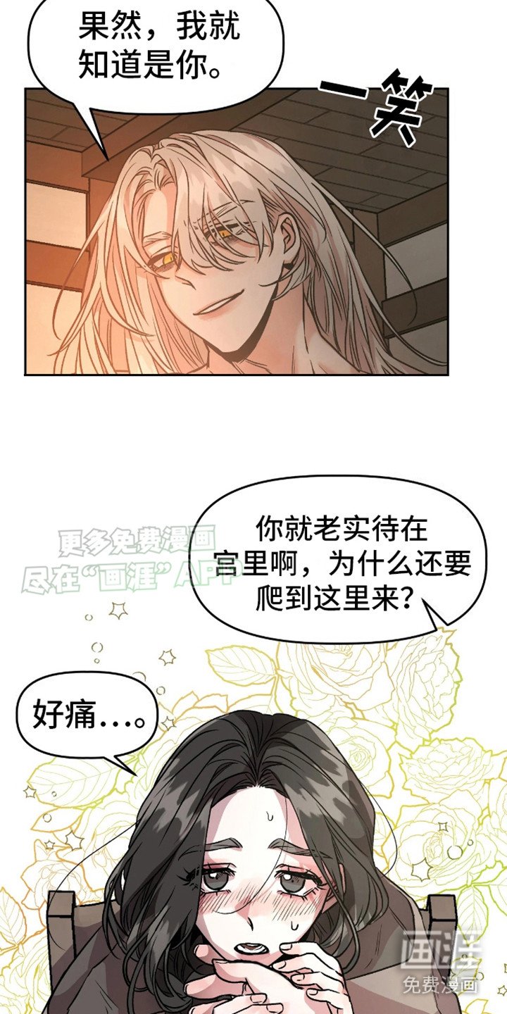 第5章：安眠药