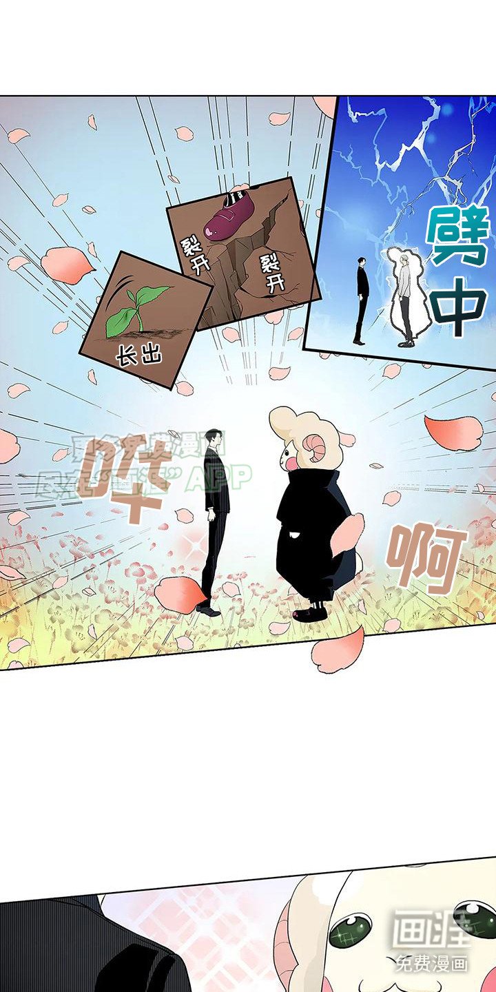 第2章：一见钟情