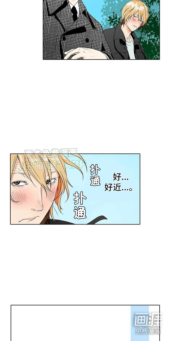 第7章：替换