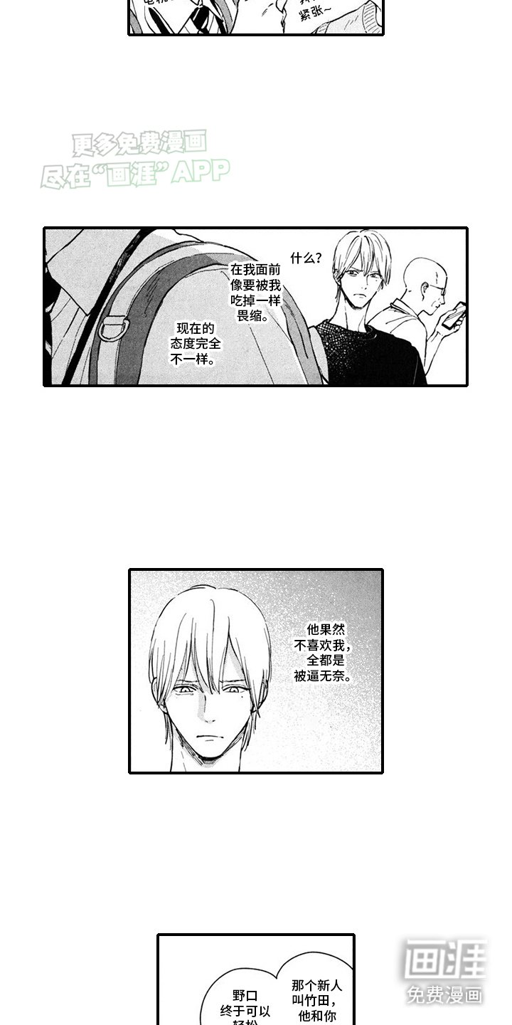 第12章：新人