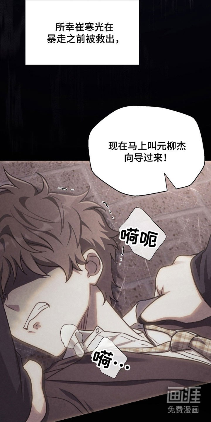 第22章：袭击事件