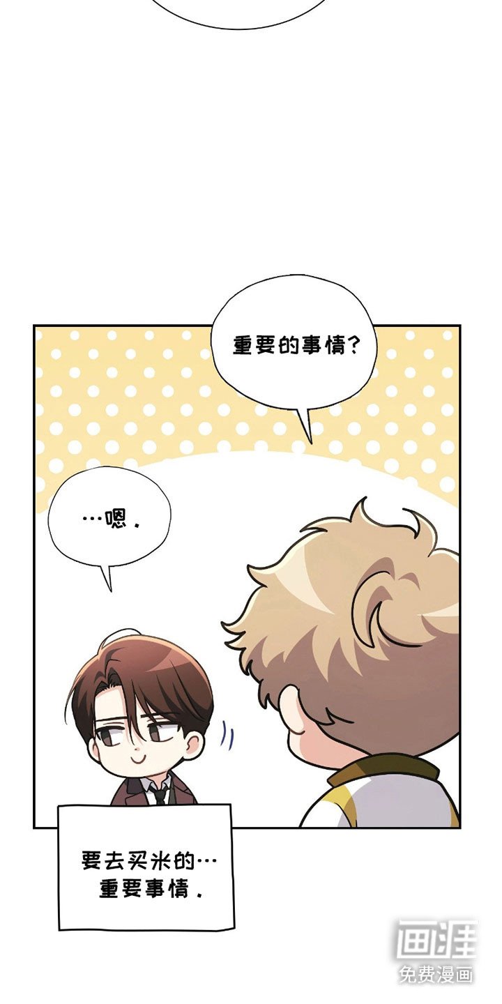 第22章：袭击事件