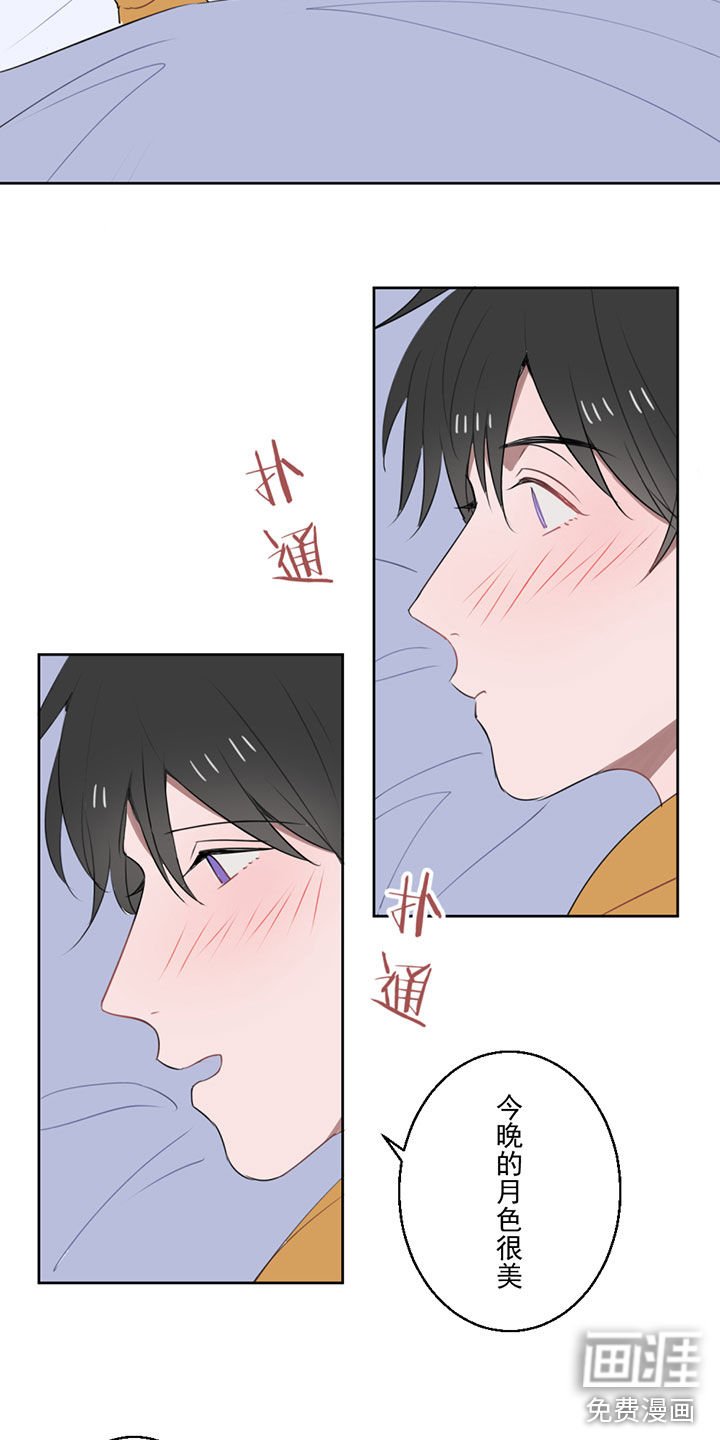 第13章：告白