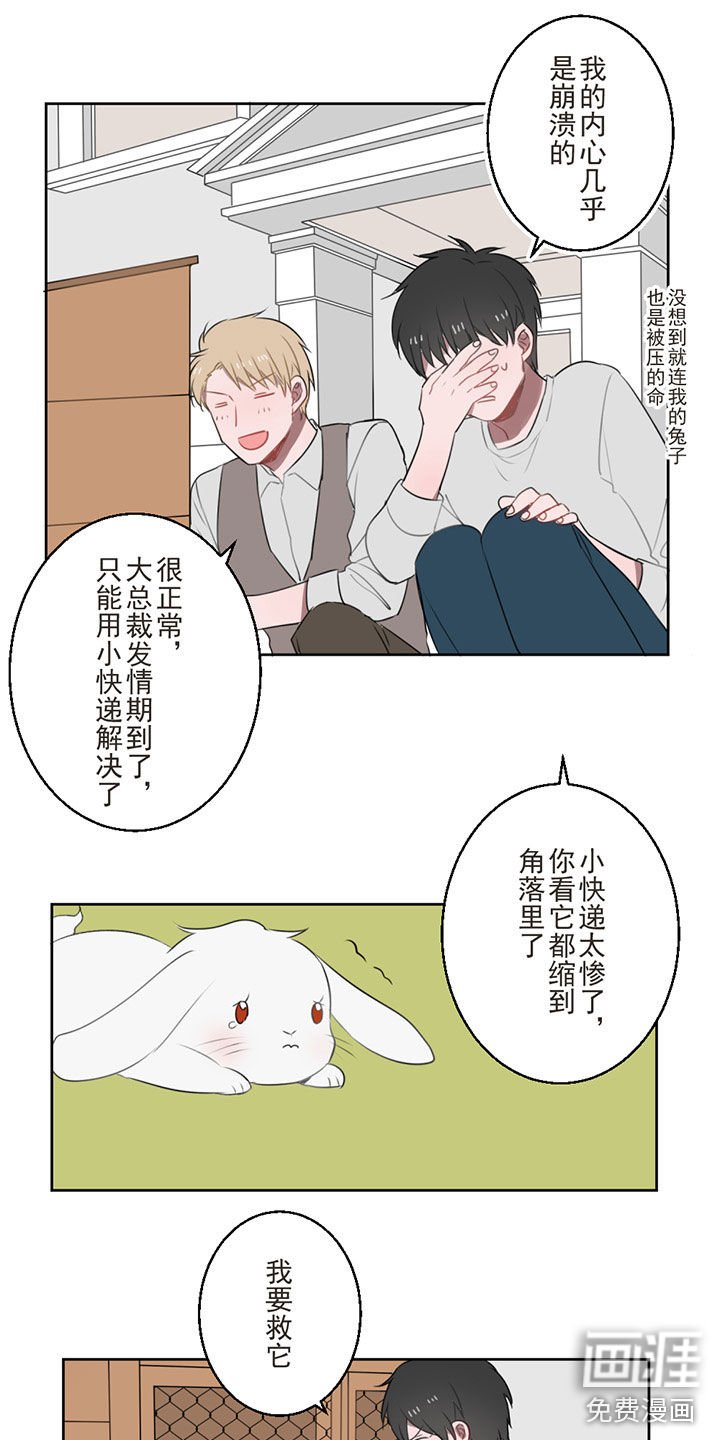 第14章：你好，请签收你的快递（完结）