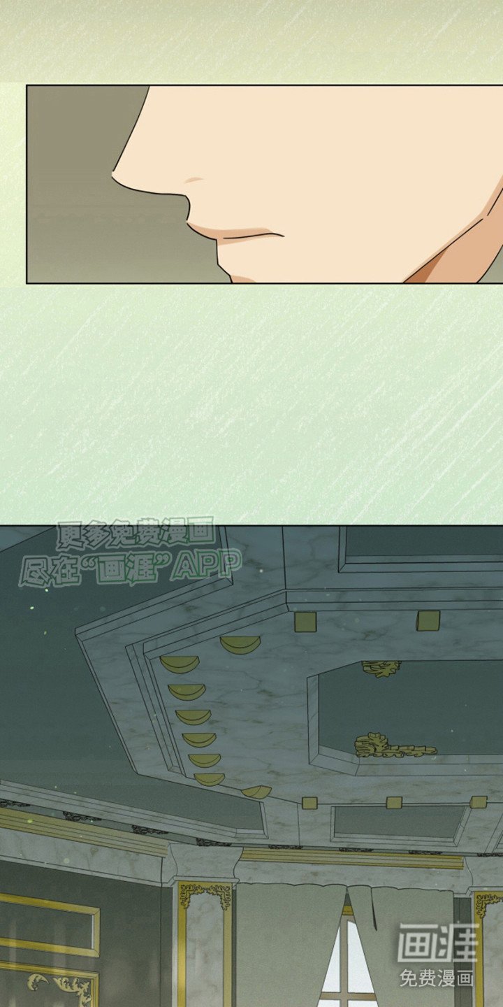 第13章：偏见