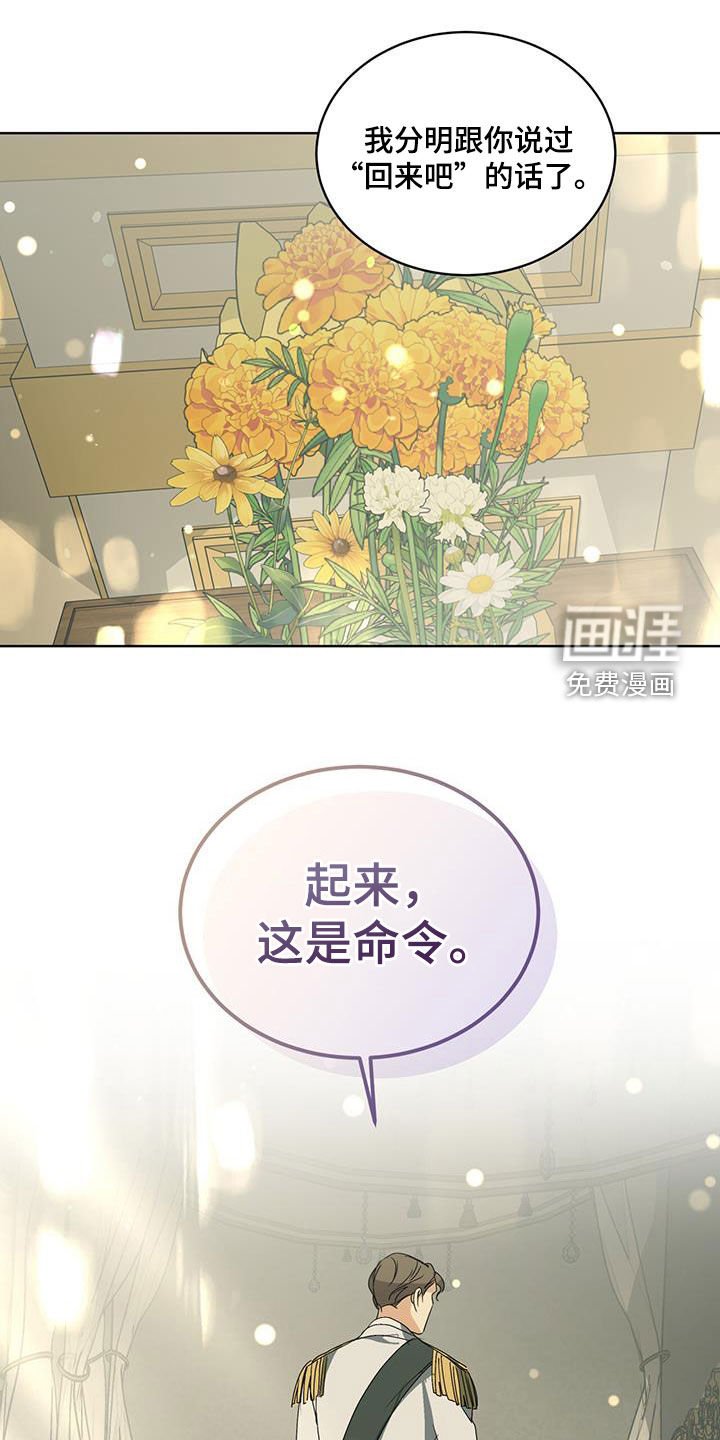 第41章：命令