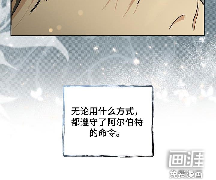 第41章：命令
