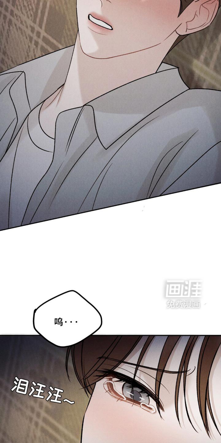 第44章：【第二季】都说了别哭