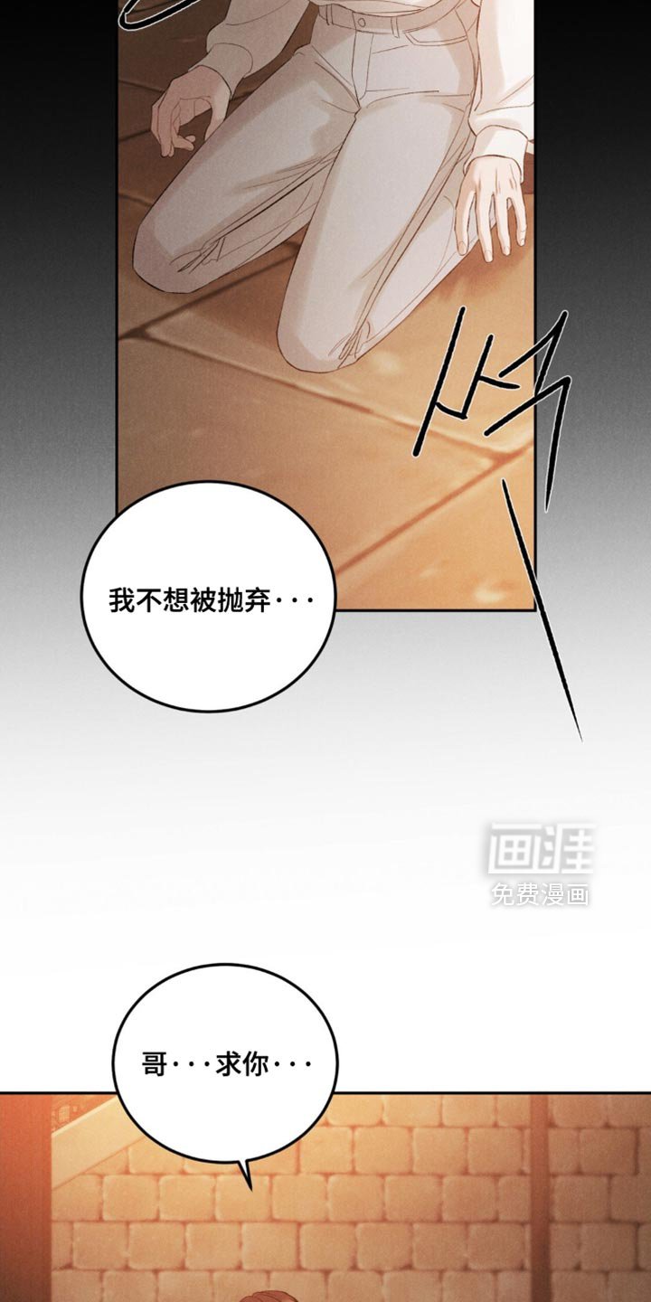 第53章：【第二季】没有抛弃我！
