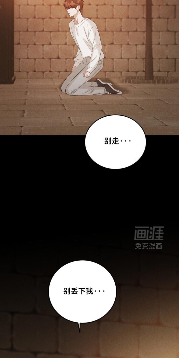 第53章：【第二季】没有抛弃我！