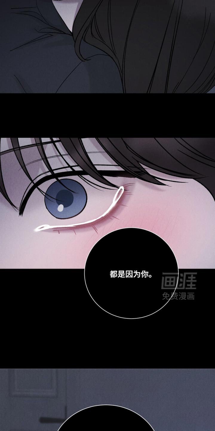 第79章：【第二季】都是因为你
