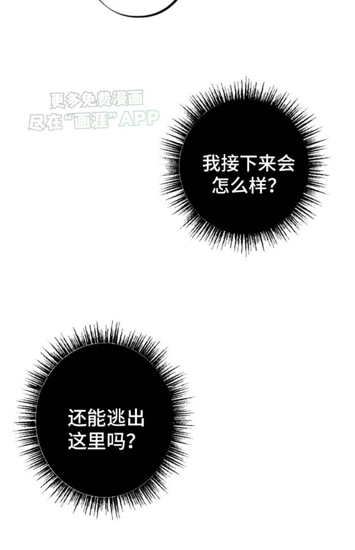 第10章：打赌