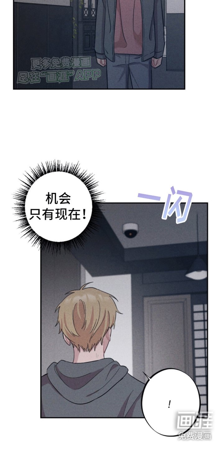 第13章：再次碰面
