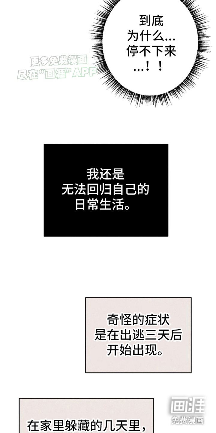 第13章：再次碰面
