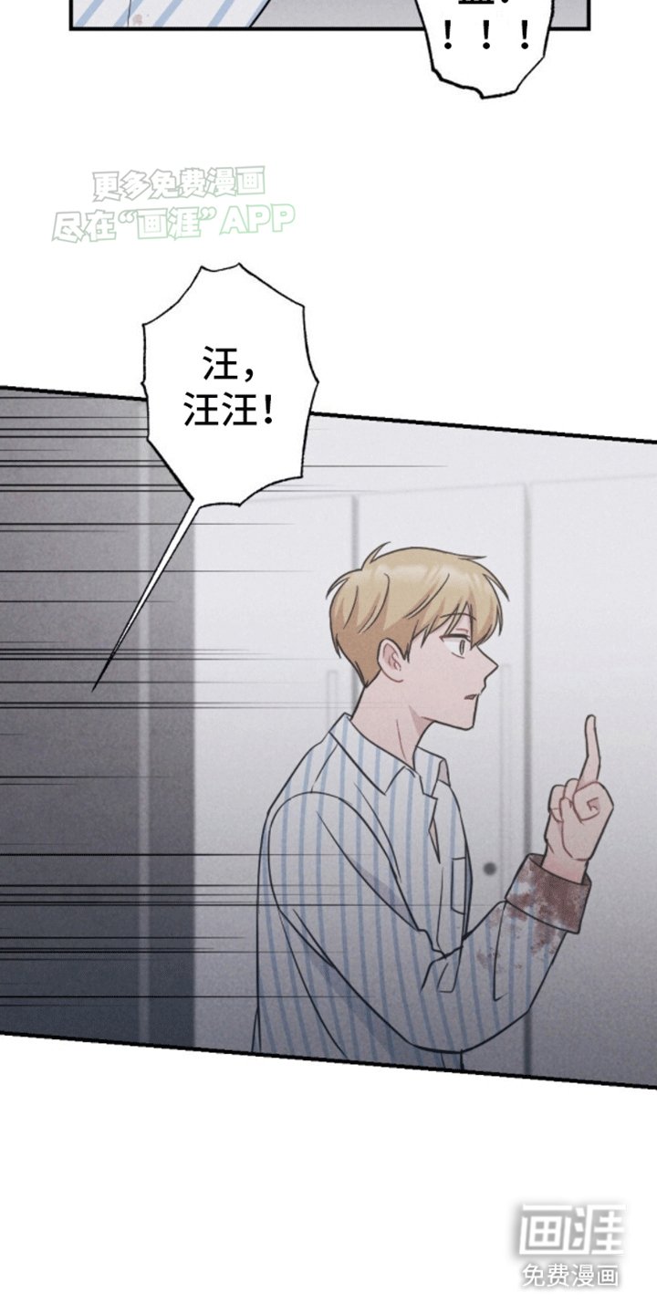 第16章：重新被抓