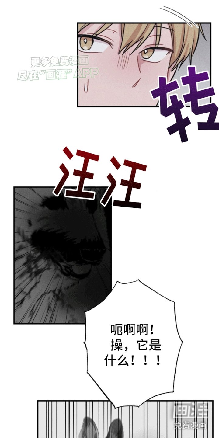 第16章：重新被抓
