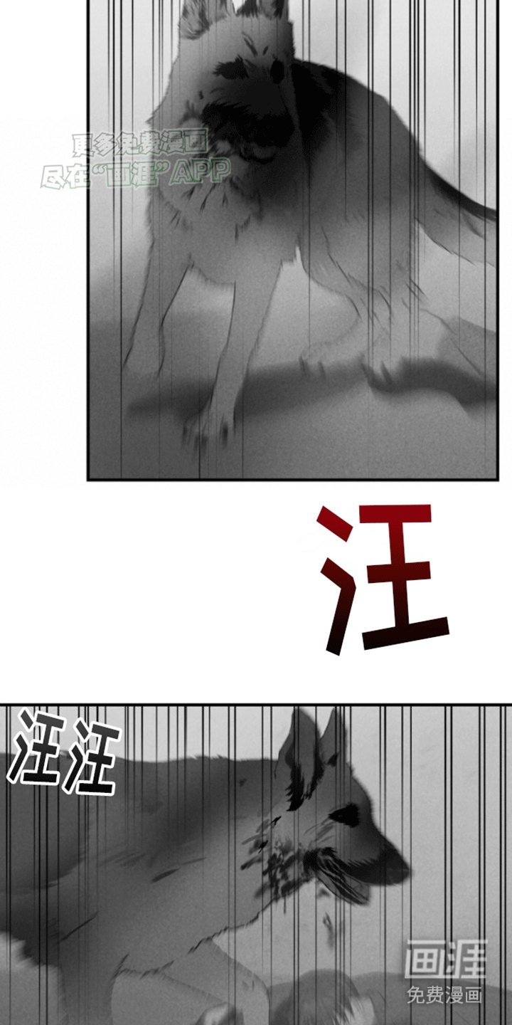 第16章：重新被抓