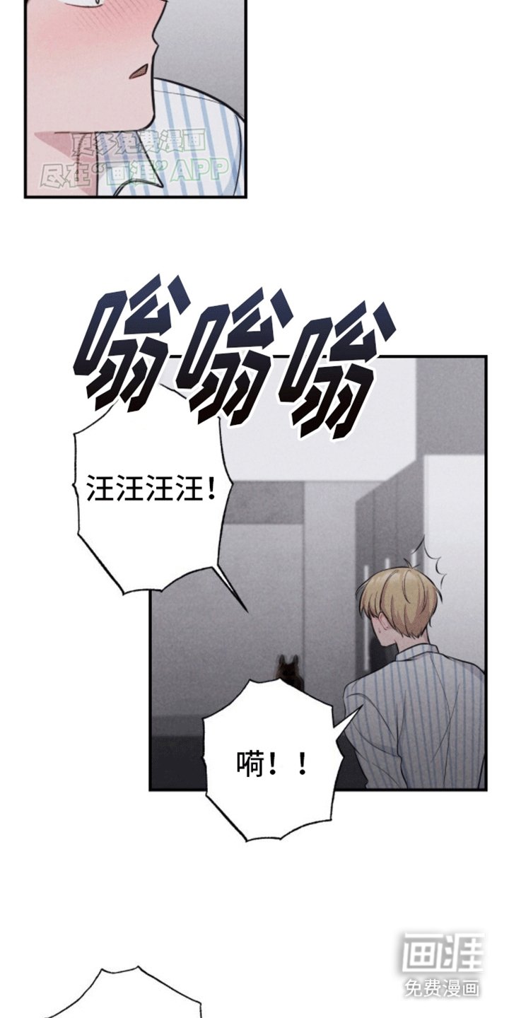 第17章：新游戏