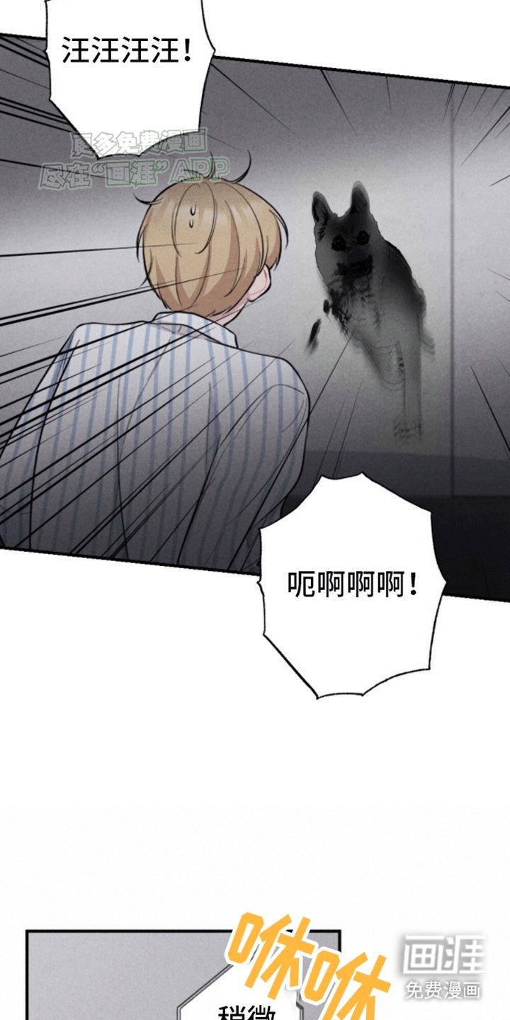 第17章：新游戏