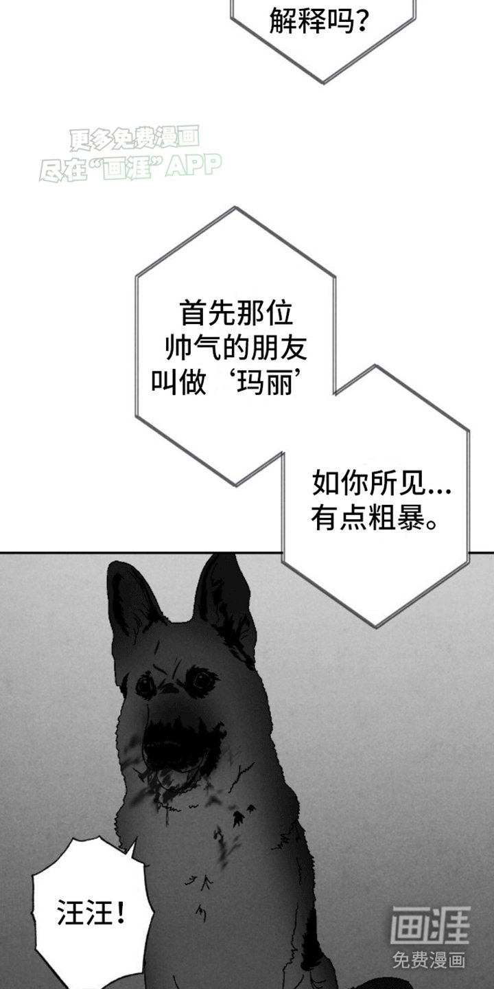 第17章：新游戏