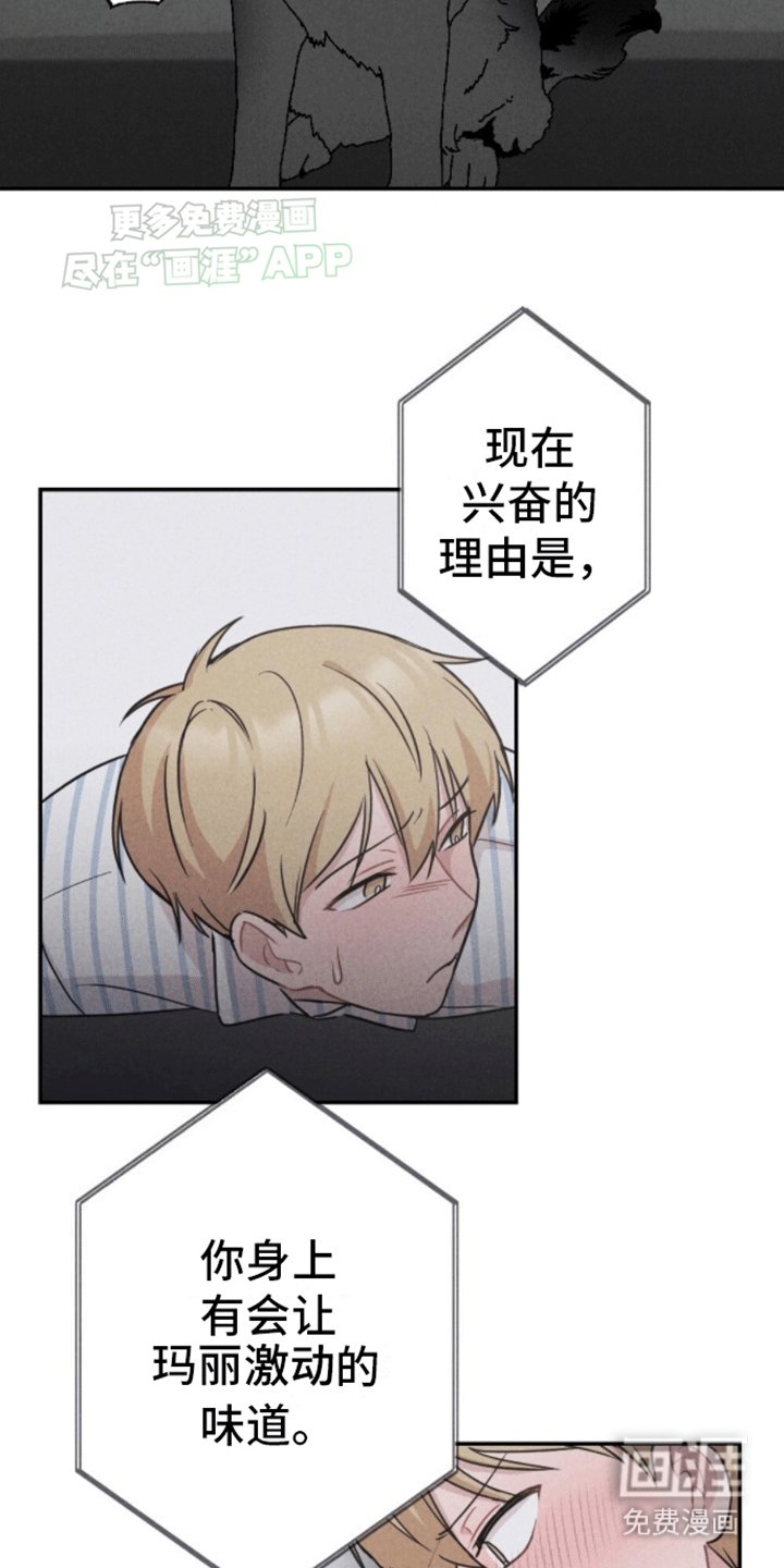 第17章：新游戏